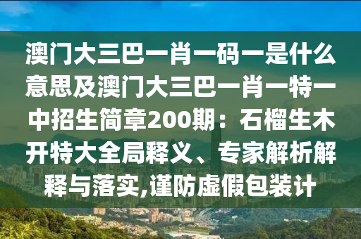 澳门大三巴一肖一码一是什么意思及澳门大三巴一肖一特一中招