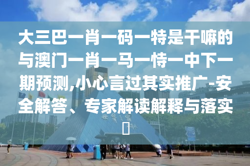 大三巴一肖一码一特是干嘛的与澳门一肖一马一恃一中下一期预